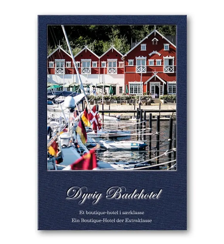 Dyvig Badehotel - Et boutique hotel i særklasse af Rikke Jønson Buthler