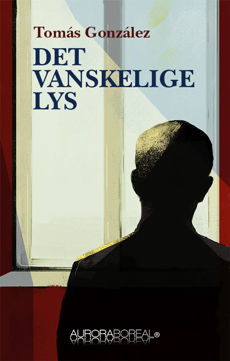 Det vanskelige lys af Tomás González