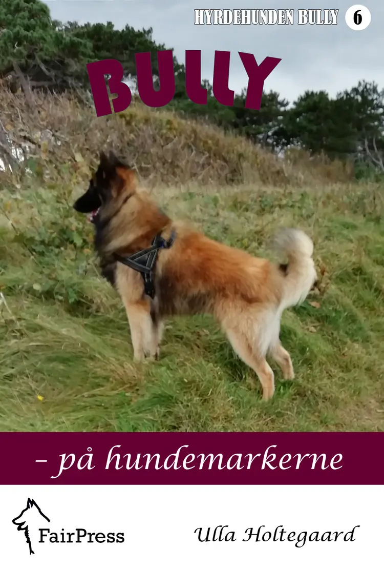 Bully - på hundemarkerne af Ulla Holtegaard
