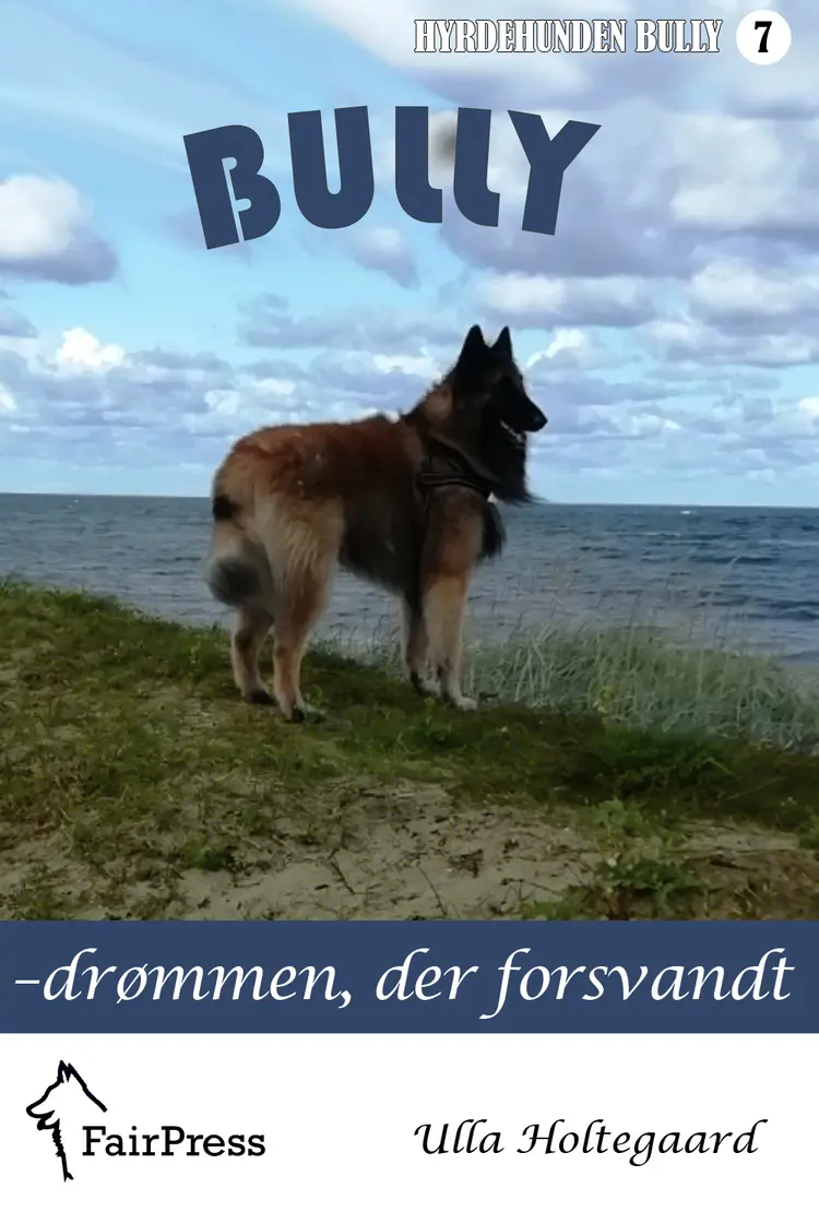 Drømmen, der forsvandt af Ulla Holtegaard