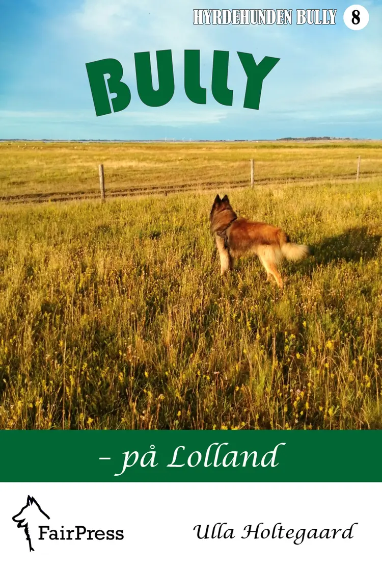 Bully - på Lolland af Ulla Holtegaard
