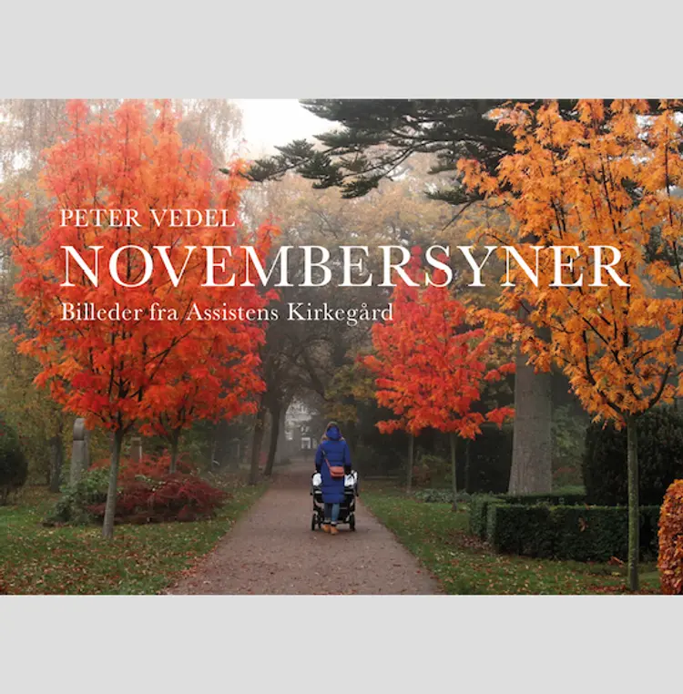 Novembersyner af Peter Vedel