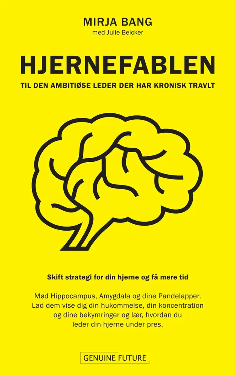 Hjernefablen af Mirja Bang