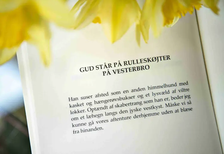 Vindblæst af Anne Kalhave Brostrøm