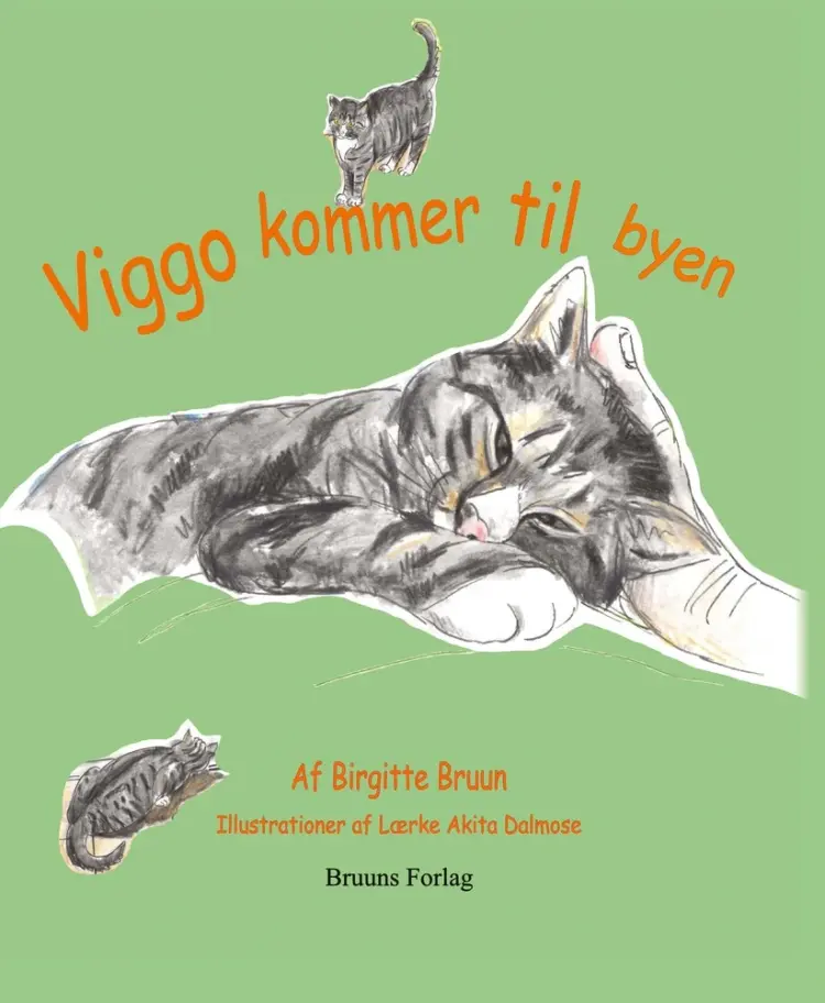Viggo kommer til byen af Birgitte Bruun