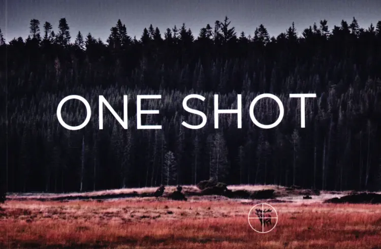 One Shot af Niels Busch
