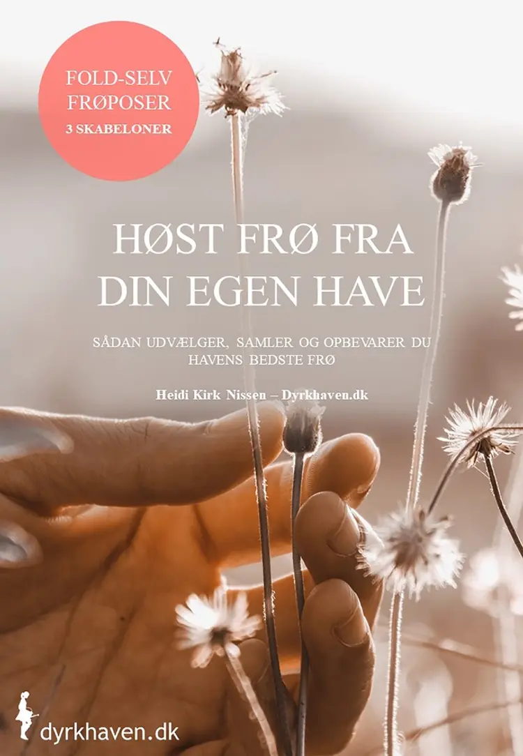 Høst frø fra din egen have af Heidi Kirk Nissen