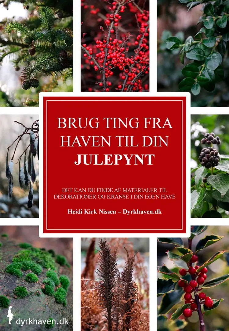 Brug ting fra haven til din julepynt af Heidi Kirk Nissen