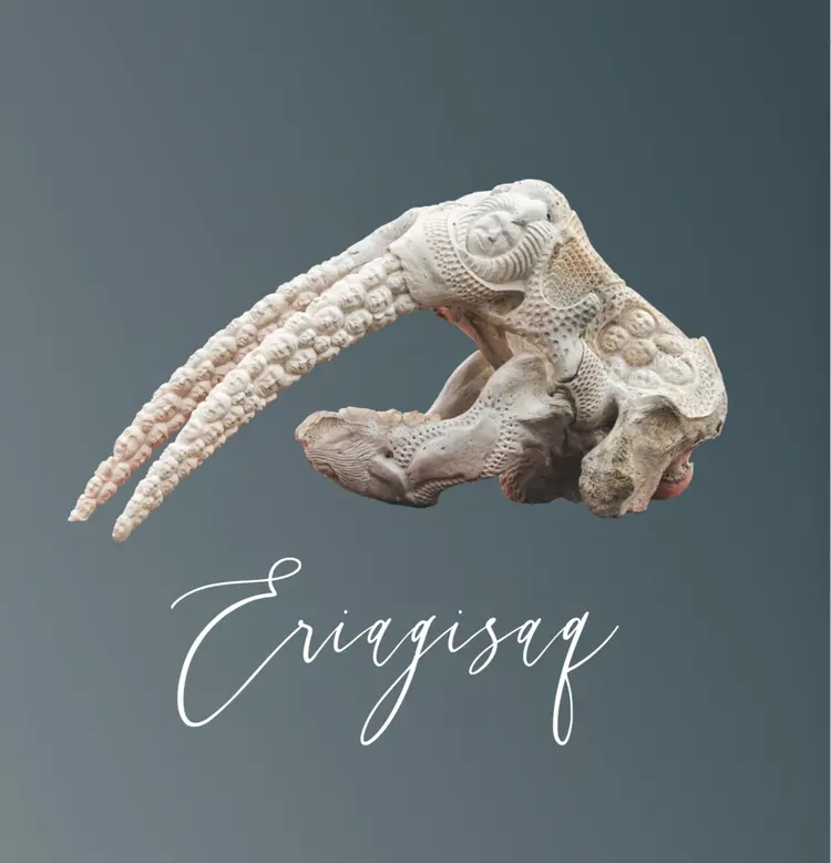 Eriagisaq (grønlandsk/engelsk) af Katsi Kleist-Eriksen