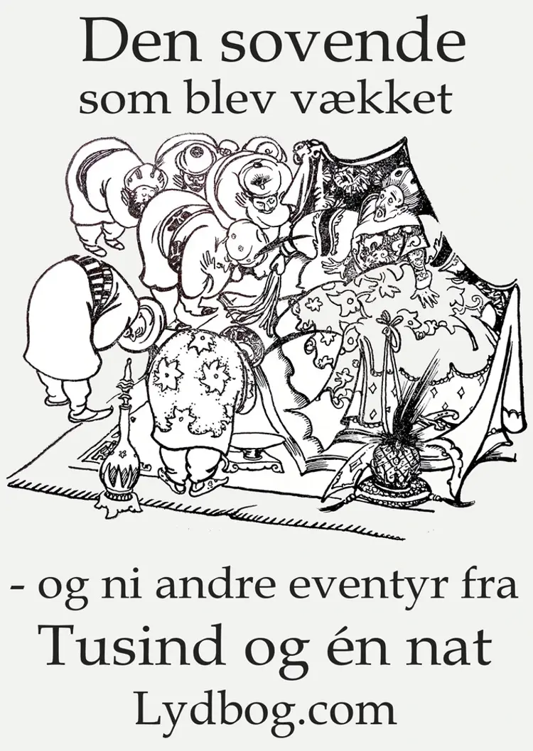 Den Sovende som blev vækket - og ni andre eventyr fra Tusind og en Nat af Valdemar Thisted