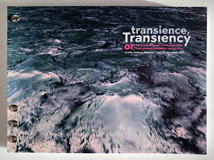 Transiency af Lisa Rosenmeier
