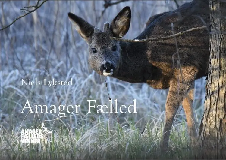 Amager Fælled af Niels Lyksted