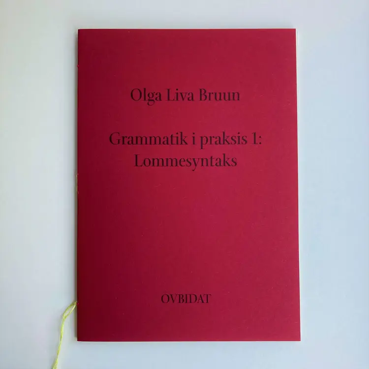Grammatik i praksis 1: Lommesyntaks. af Olga Liva Bruun