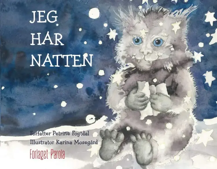Jeg har natten af Petrine Fogtdal