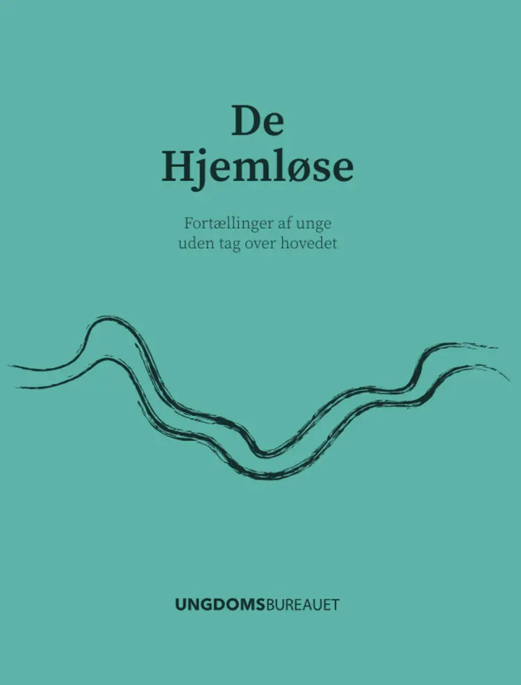 De Hjemløse af Anders Nielsen