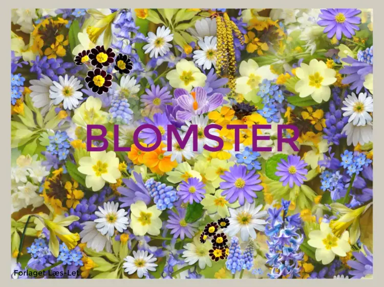 Blomster af Hanne Guldberg Mikkelsen