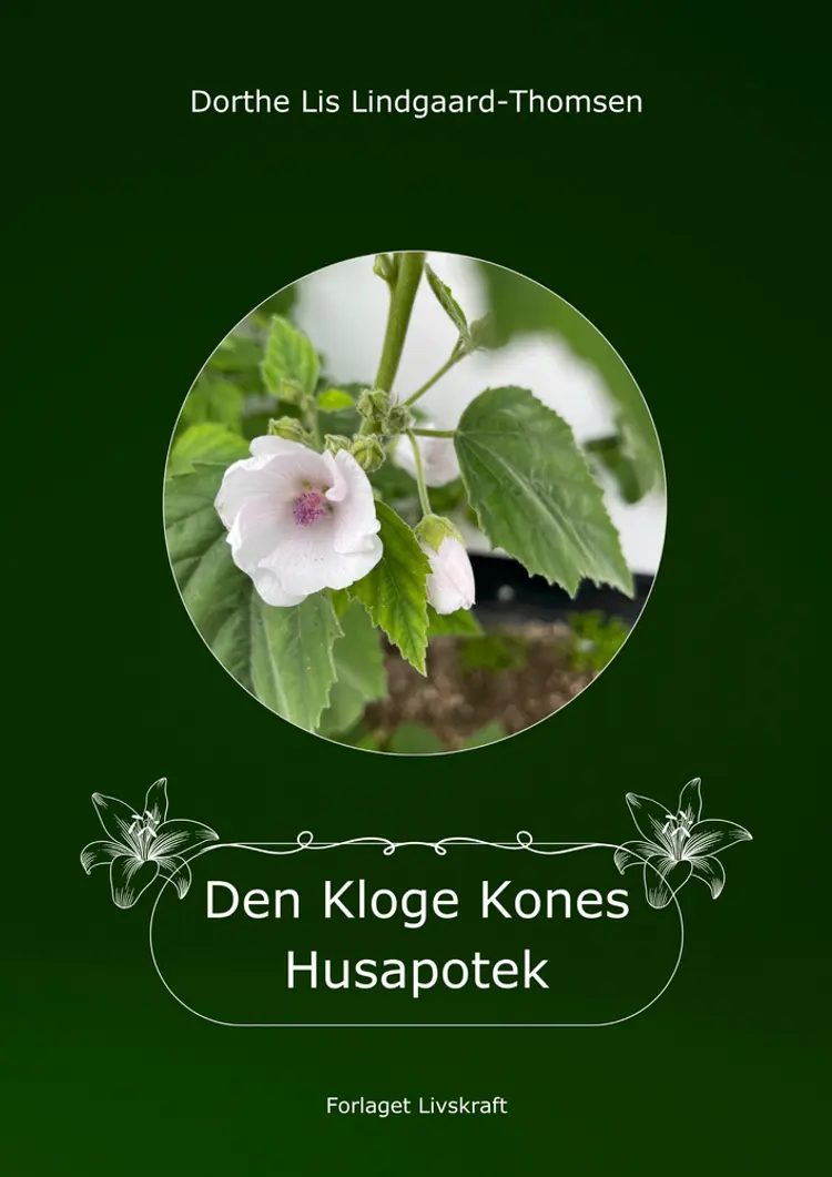 Den Kloge Kones Husapotek af Dorthe Lis Lindgaard-Thomsen