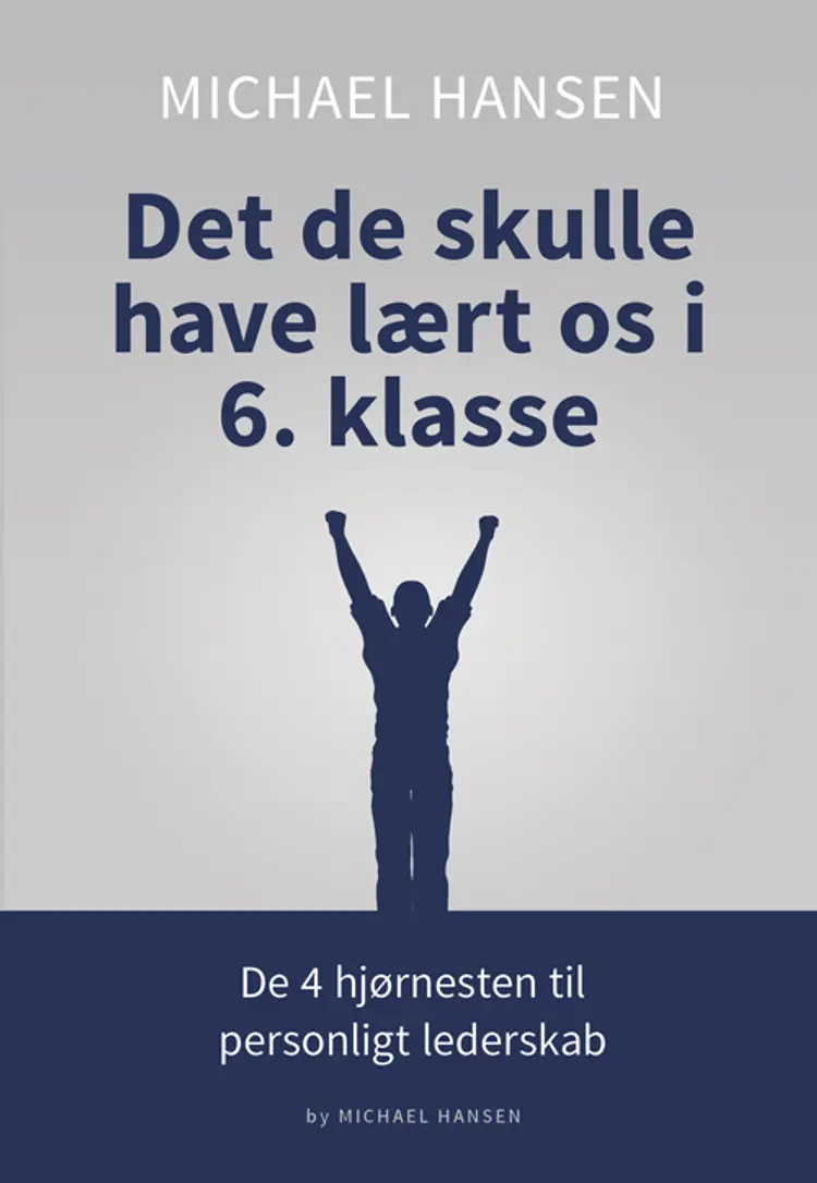 Det de skulle have lært os i 6. klasse af Michael Hansen