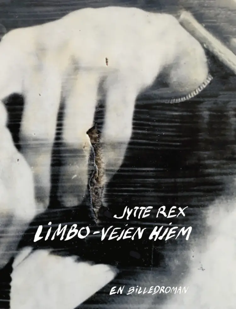 Limbo af Jytte Rex