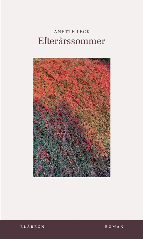 Efterårssommer cover