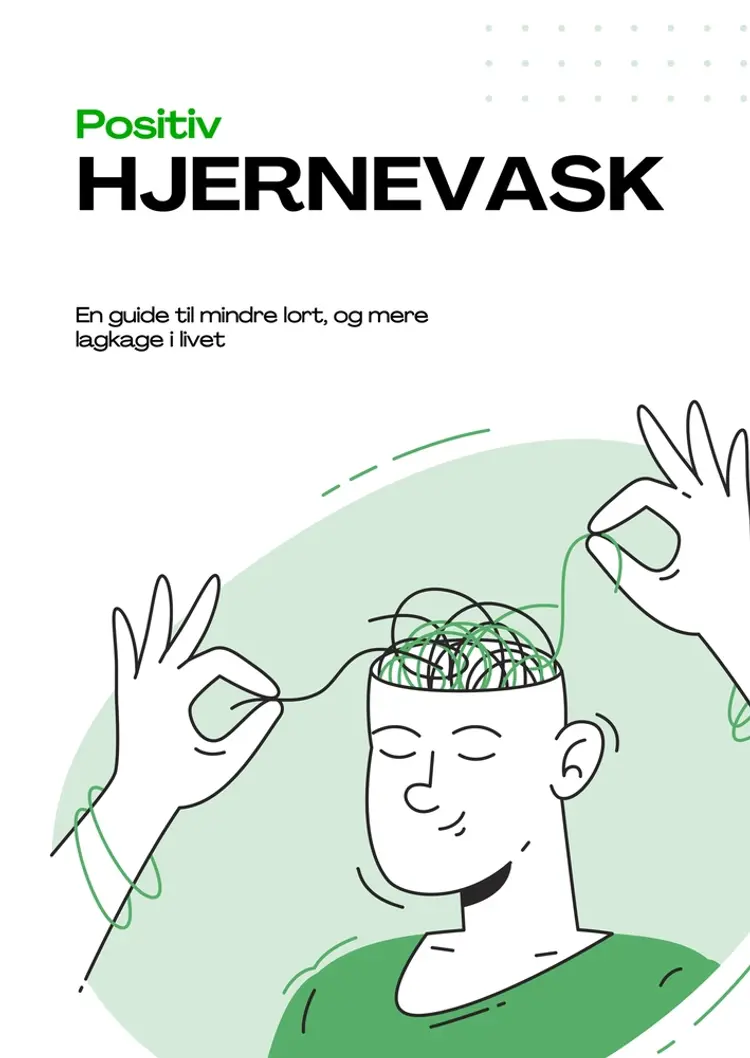 Positiv Hjernevask af Knud Magnussen
