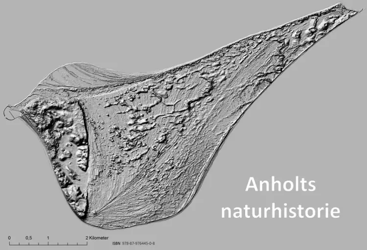 Anholts naturhistorie af NIELS FREDERIK SCHRØDER