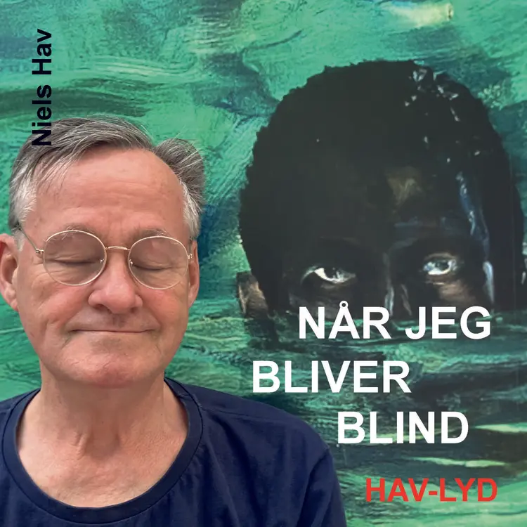 Når jeg bliver blind af Niels Hav