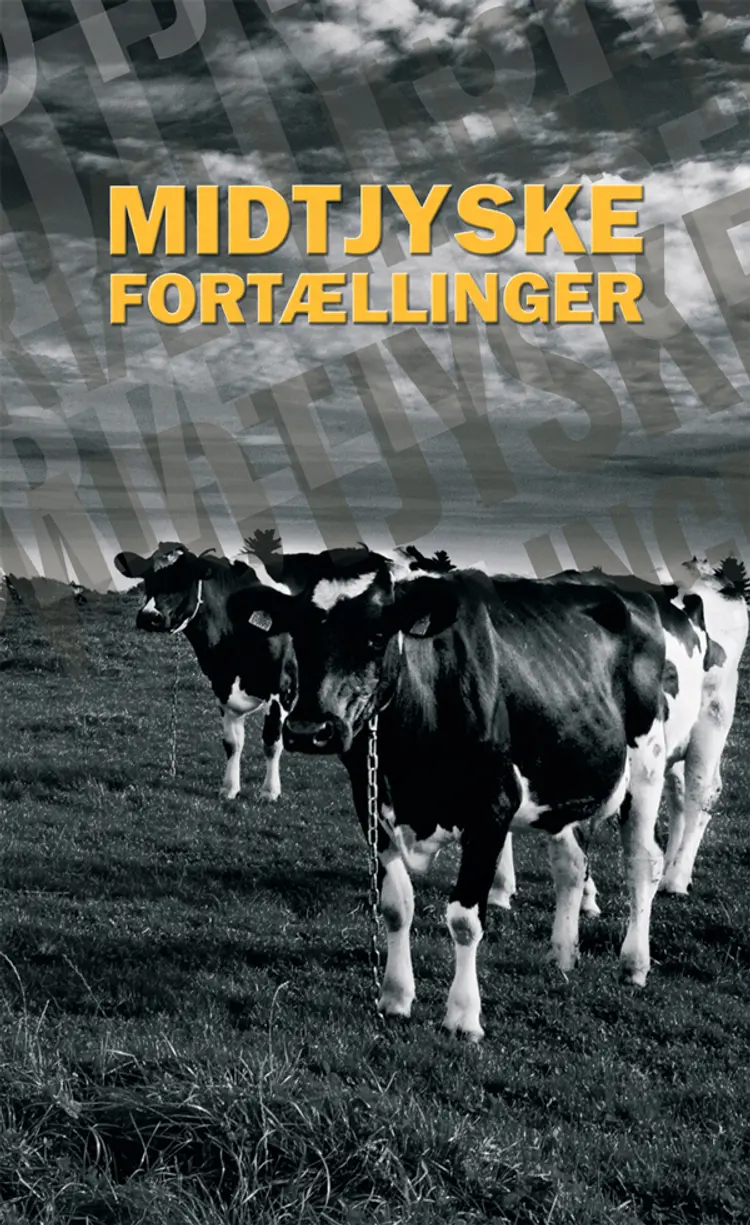 Midtjyske Fortællinger af Lene Rikke Bresson