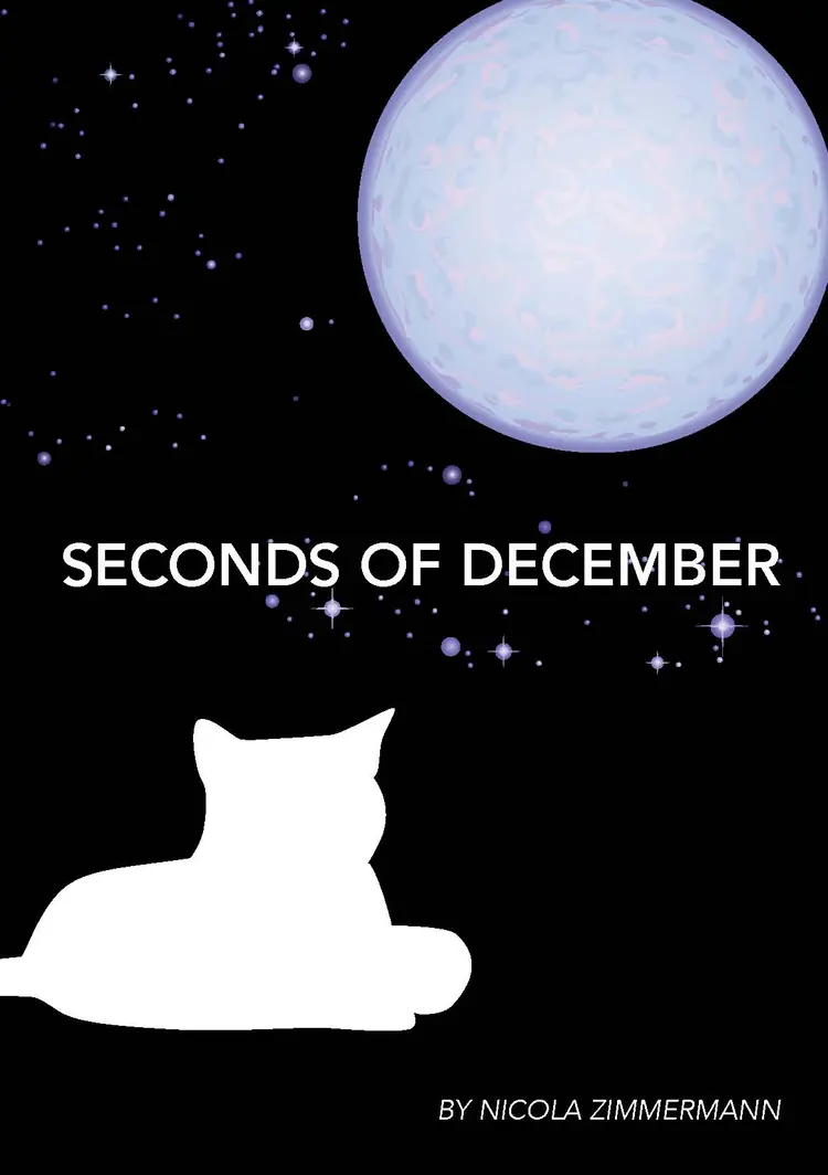 Seconds Of December af Nicola Zimmermann