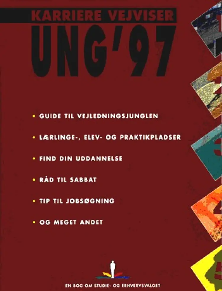 Karriere vejviser, ung