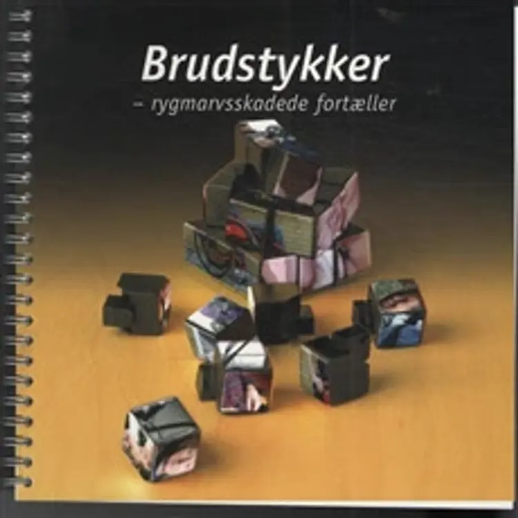 Brudstykker af Anders J. Andersen