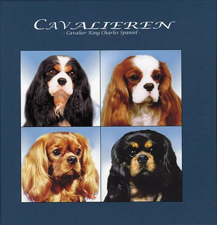 Cavalieren af Erik Fritzbøger