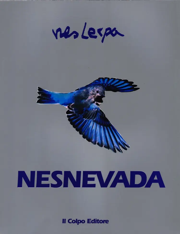 Nesnevada af Nes Lerpa