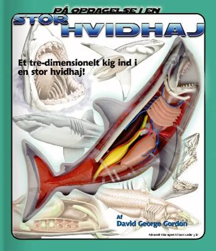 På opdagelse i en stor hvidhaj af David George Gordon