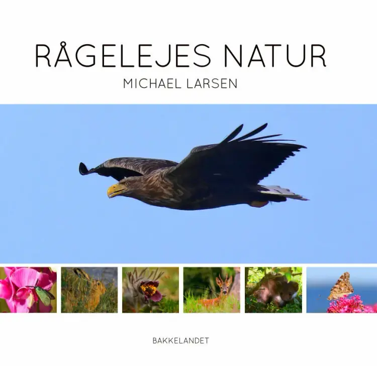 Rågelejes natur af Michael Larsen