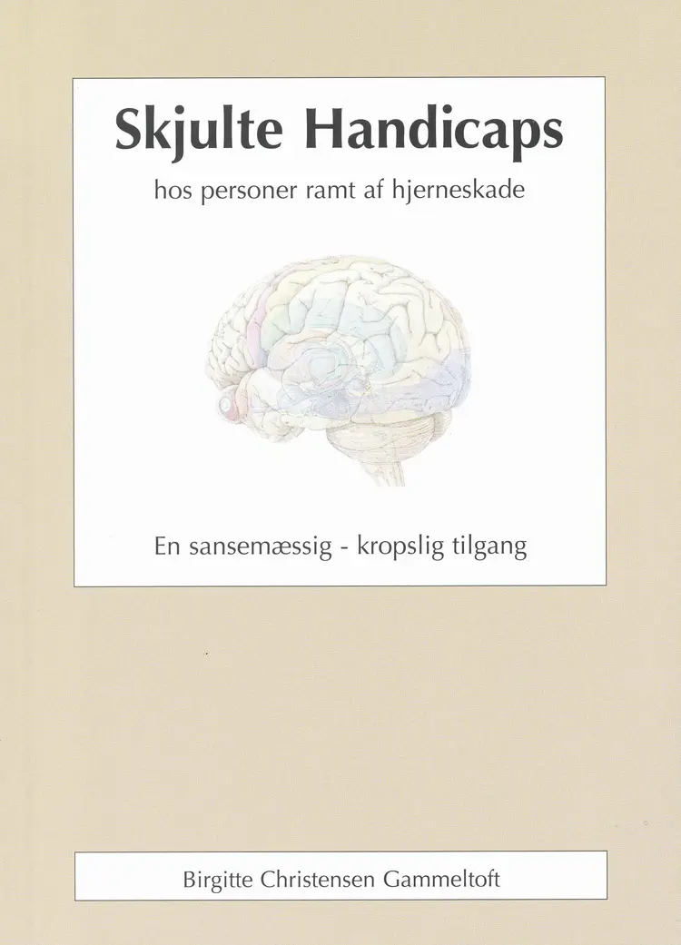 Skjulte handicaps hos personer ramt af hjerneskade af Birgitte Christensen Gammeltoft