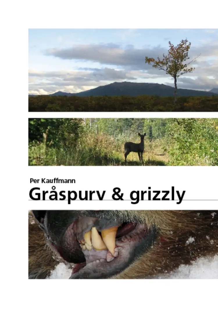 Gråspurv & grizzly af Per Kauffmann