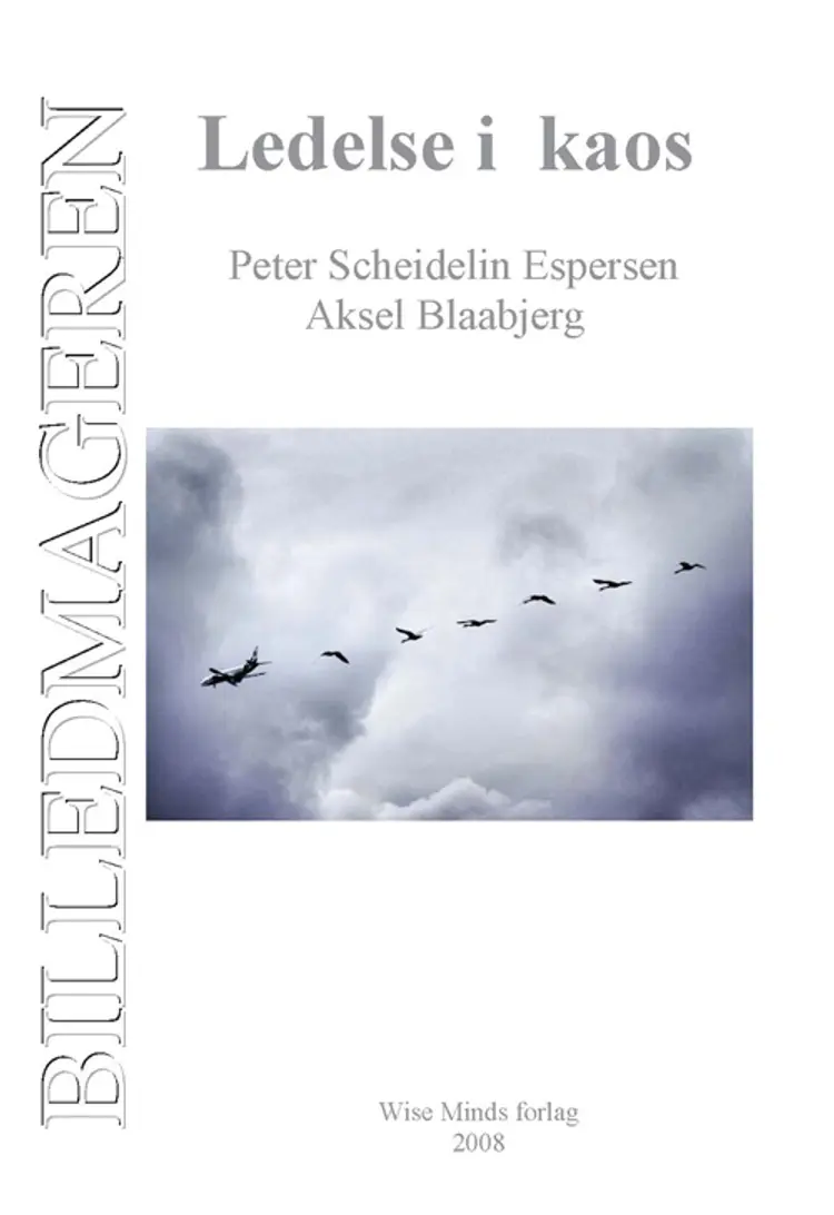 Billedemageren - Ledelse i kaos af Aksel Blaabjerg