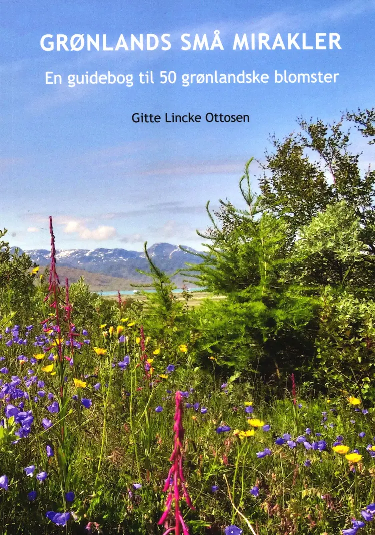 Grønlands små mirakler af Gitte Lincke Ottosen