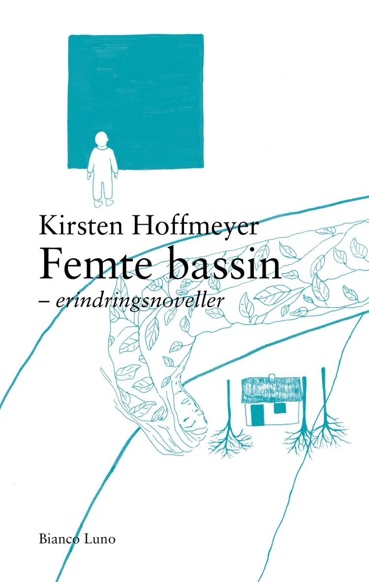 Femte bassin af Kirsten Hoffmeyer