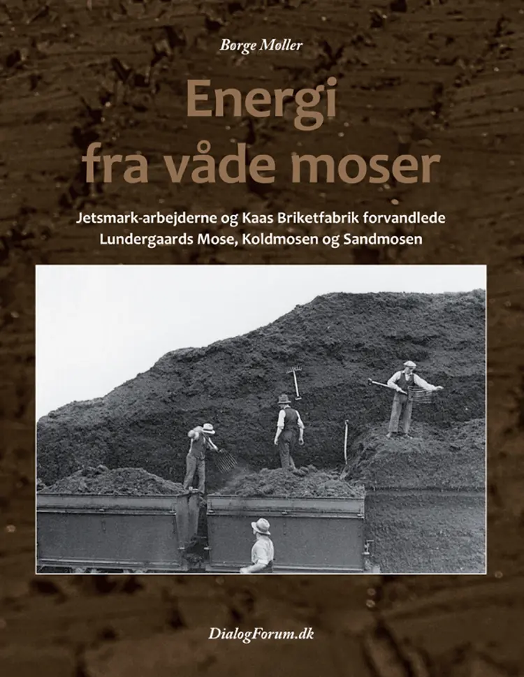 Energi fra våde moser af Børge Møller