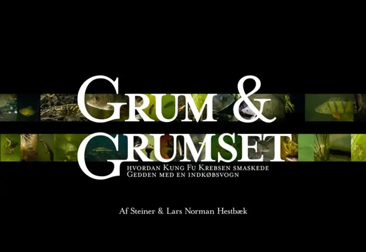 Grum & grumset af Steiner