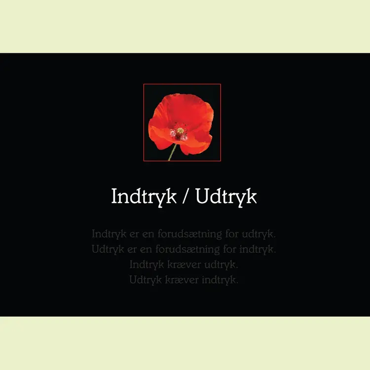 Indtryk-udtryk af Anita Hummelshøj Mikkelsen