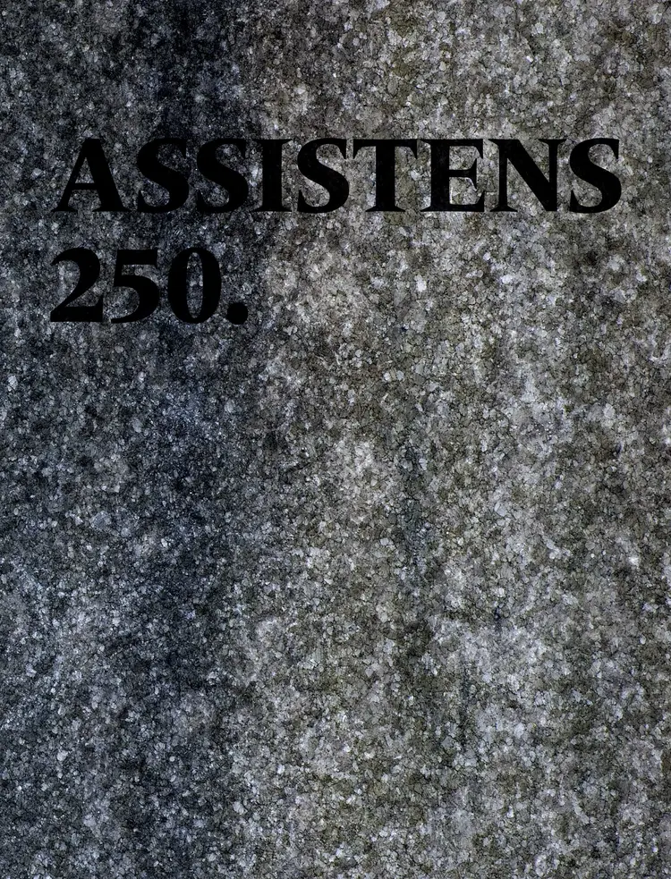 Assistens 250 af Stine Helweg