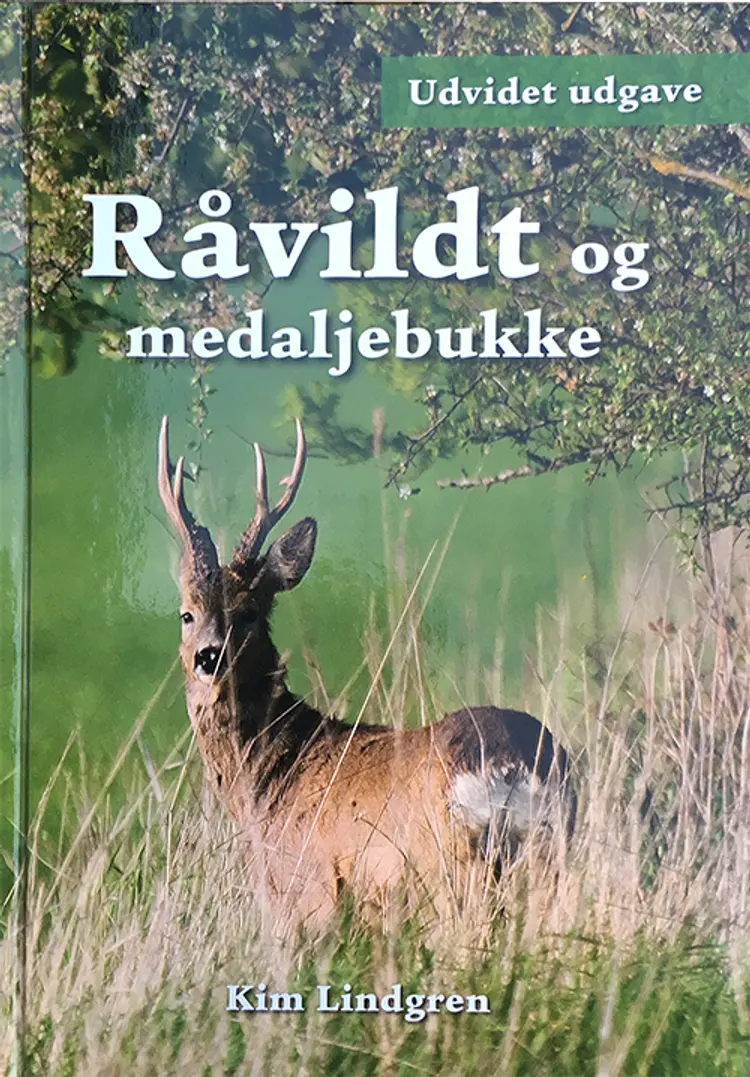 Råvildt og medaljebukke af Kim Lindgren
