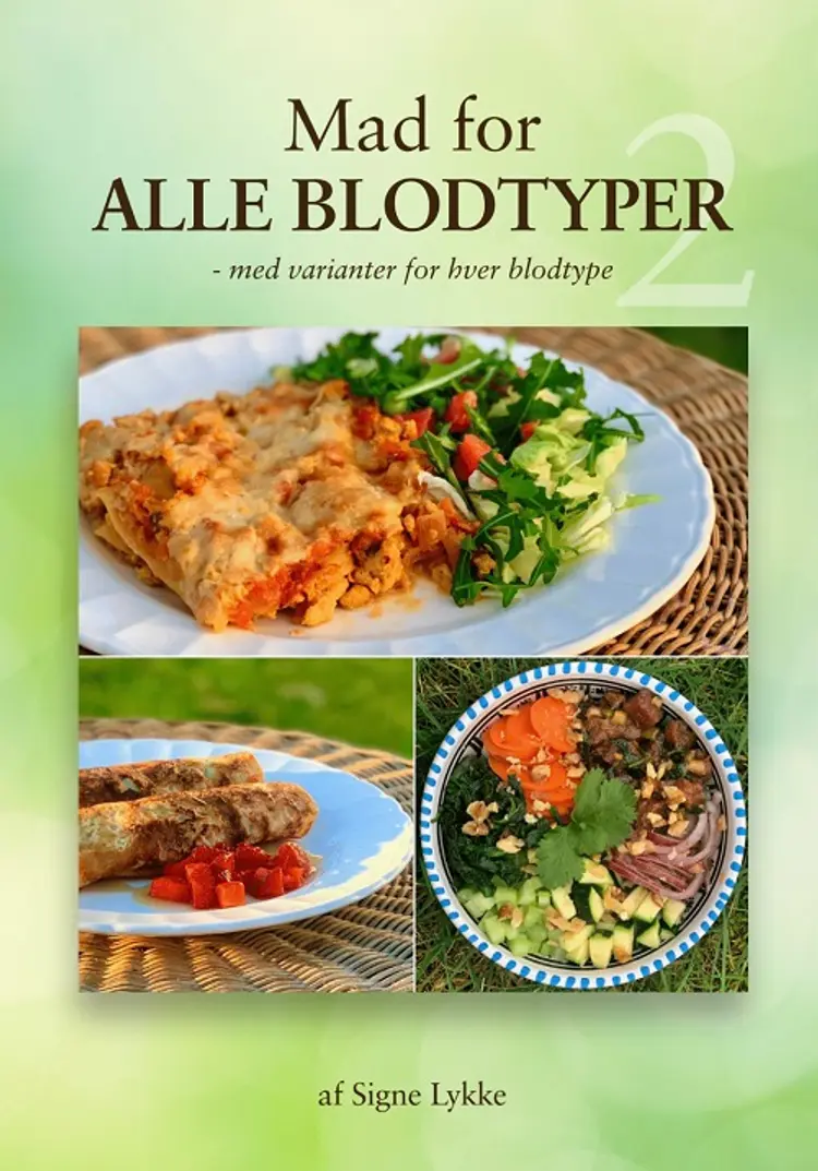 Mad for Alle blodtyper 2 af Signe Lykke