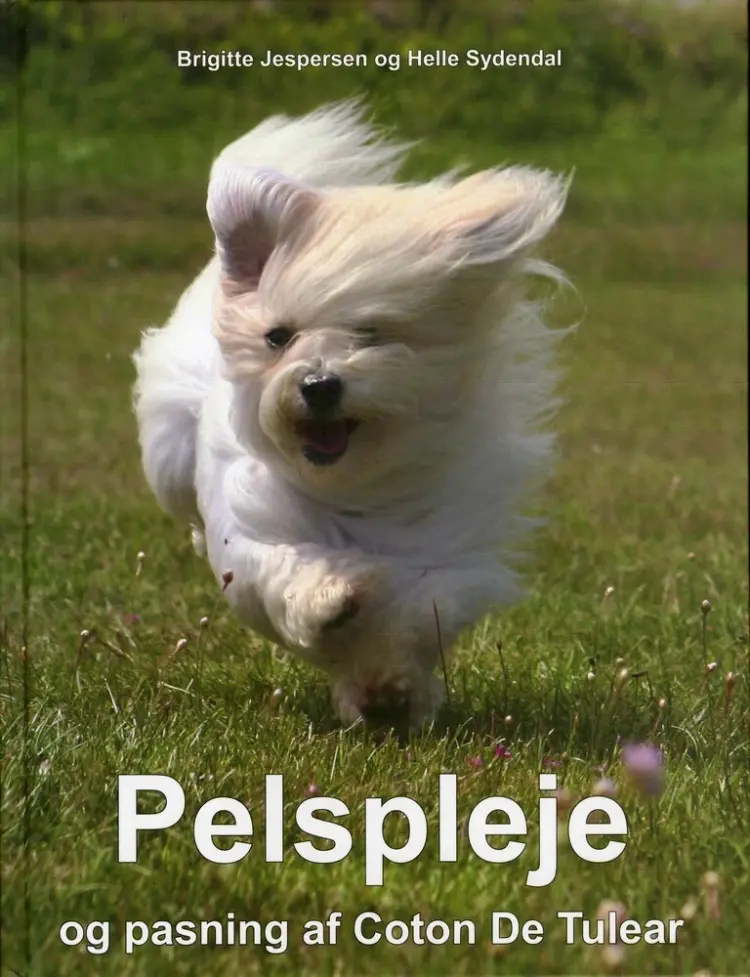 Pelspleje og pasning af Coton De Tulear af Palle Flodgaard