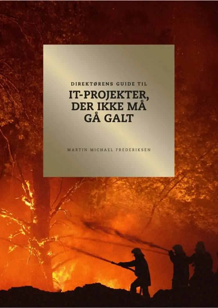 Direktørens guide til it-projekter, der ikke må gå galt af Martin Michael Frederiksen