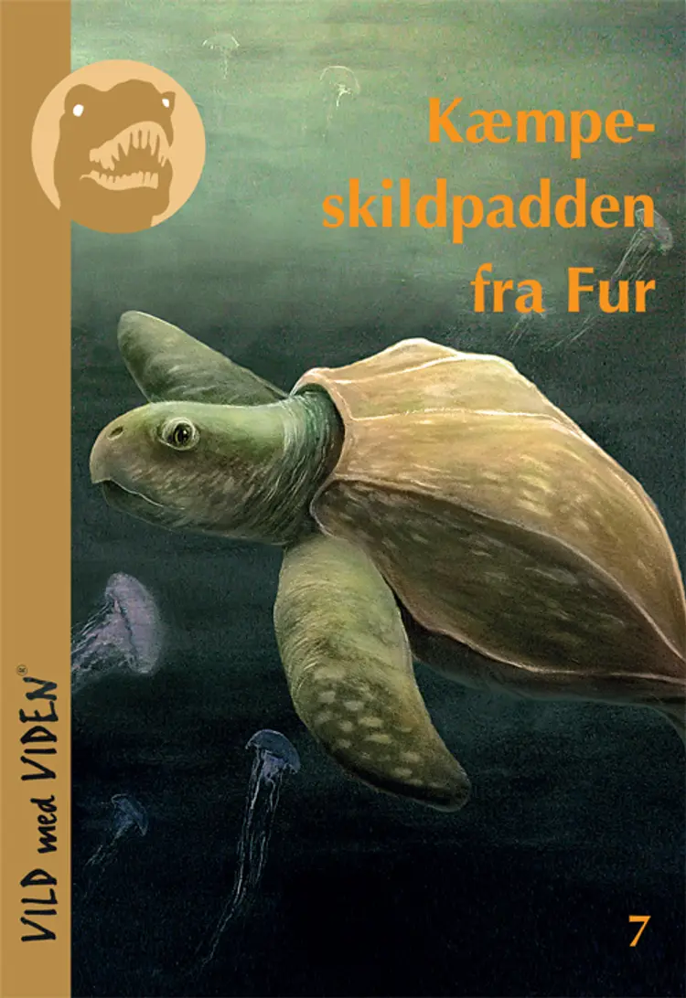 Kæmpeskildpadden fra Fur af Bo Schultz