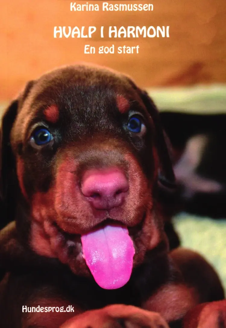 Hvalp i harmoni af Karina Rasmussen